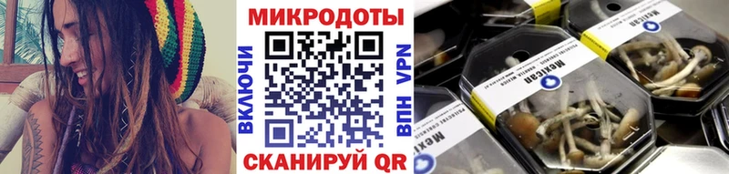 Галлюциногенные грибы Cubensis Бийск