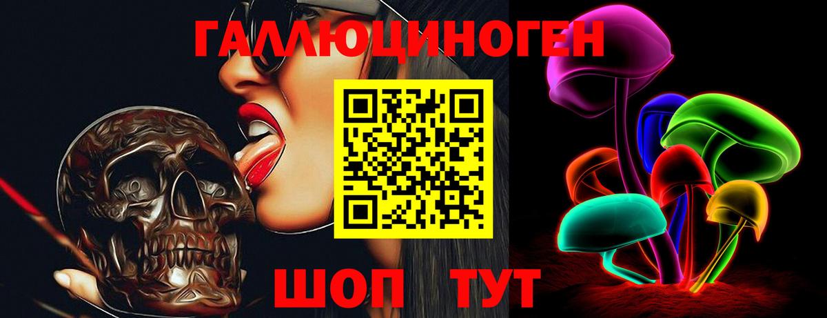 Псилоцибиновые грибы Cubensis  Галлюциногенные грибы Psilocybe  Бийск  Вход с VPN 